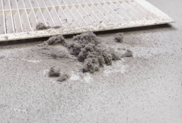 Best Professional Duct Cleaning Services  in Jefferson, OH